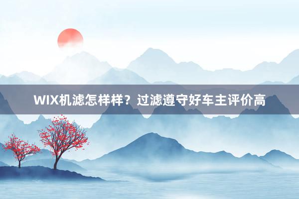 WIX机滤怎样样？过滤遵守好车主评价高
