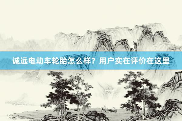 诚远电动车轮胎怎么样？用户实在评价在这里