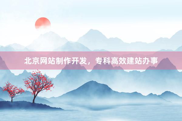 北京网站制作开发，专科高效建站办事