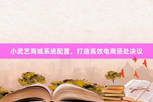 小武艺商城系统配置，打造高效电商惩处决议