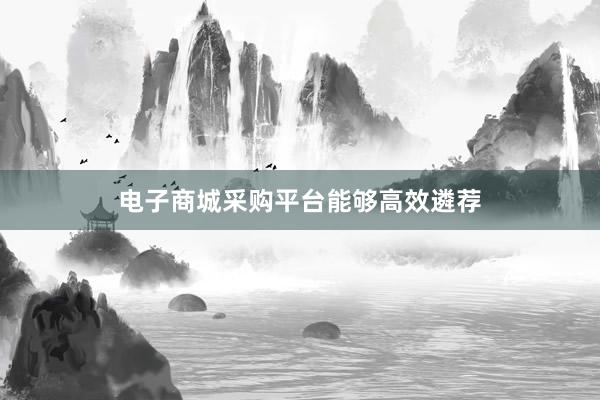 电子商城采购平台能够高效遴荐